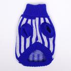 Свитер для животных, размер 6, 24-28 см, расцветка МИКС - Фото 12