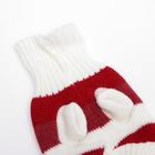 Свитер для животных, размер 6, 24-28 см, расцветка МИКС - Фото 19