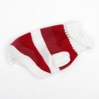 Свитер для животных, размер 6, 24-28 см, расцветка МИКС - Фото 33