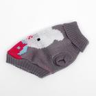 Свитер для животных, размер 6, 24-28 см, расцветка МИКС - Фото 36