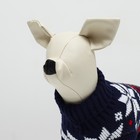 Свитер для животных, размер 6, 24-28 см, расцветка МИКС - Фото 7