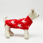 Свитер для животных, размер 8, 26-30 см, расцветка МИКС - Фото 2