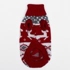 Свитер для животных, размер 10, ДС 30-45, ОШ 16-31, ОГ 30-45 см, расцветка МИКС - Фото 14