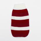 Свитер для животных, размер 10, ДС 30-45, ОШ 16-31, ОГ 30-45 см, расцветка МИКС - Фото 21