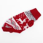 Свитер для животных, размер 10, ДС 30-45, ОШ 16-31, ОГ 30-45 см, расцветка МИКС - Фото 24