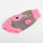 Свитер для животных, размер 10, ДС 30-45, ОШ 16-31, ОГ 30-45 см, расцветка МИКС - Фото 25