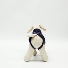 Свитер для животных, размер 10, ДС 30-45, ОШ 16-31, ОГ 30-45 см, расцветка МИКС - Фото 4