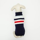 Свитер для животных, размер 10, ДС 30-45, ОШ 16-31, ОГ 30-45 см, расцветка МИКС - Фото 5