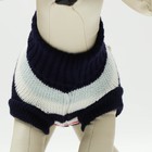 Свитер для животных, размер 10, ДС 30-45, ОШ 16-31, ОГ 30-45 см, расцветка МИКС - Фото 6