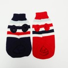 Свитер для животных, размер 10, ДС 30-45, ОШ 16-31, ОГ 30-45 см, расцветка МИКС - Фото 7