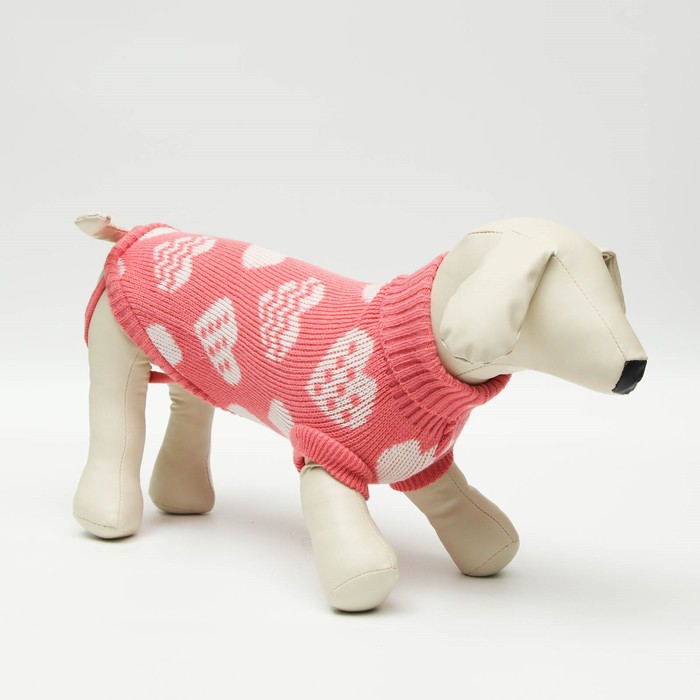 Свитер для животных, размер 14, ДС 40-55, ОШ 20-35, ОГ 36-51 см, расцветка МИКС - Фото 1