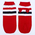 Свитер для животных, размер 14, ДС 40-55, ОШ 20-35, ОГ 36-51 см, расцветка МИКС - Фото 12