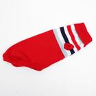 Свитер для животных, размер 14, ДС 40-55, ОШ 20-35, ОГ 36-51 см, расцветка МИКС - Фото 19