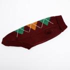 Свитер для животных, размер 14, ДС 40-55, ОШ 20-35, ОГ 36-51 см, расцветка МИКС - Фото 22