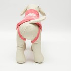 Свитер для животных, размер 14, ДС 40-55, ОШ 20-35, ОГ 36-51 см, расцветка МИКС - Фото 4