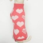 Свитер для животных, размер 14, ДС 40-55, ОШ 20-35, ОГ 36-51 см, расцветка МИКС - Фото 5