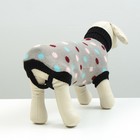 Свитер для животных, размер 16, ДС 45-60, ОШ 20-37, ОГ 37-52 см, расцветка МИКС - Фото 3