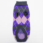 Свитер для животных, размер 16, ДС 45-60, ОШ 20-37, ОГ 37-52 см, расцветка МИКС - Фото 28