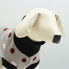 Свитер для животных, размер 16, ДС 45-60, ОШ 20-37, ОГ 37-52 см, расцветка МИКС - Фото 4