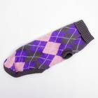 Свитер для животных, размер 16, ДС 45-60, ОШ 20-37, ОГ 37-52 см, расцветка МИКС - Фото 31