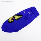 Свитер для животных, размер 16, ДС 45-60, ОШ 20-37, ОГ 37-52 см, расцветка МИКС - Фото 35