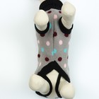 Свитер для животных, размер 16, ДС 45-60, ОШ 20-37, ОГ 37-52 см, расцветка МИКС - Фото 5