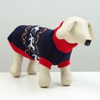 Свитер для животных, размер 18, ДС 50-65, ОШ 22-37, ОГ 38-53 см, расцветка МИКС - Фото 1