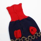 Свитер для животных, размер 18, ДС 50-65, ОШ 22-37, ОГ 38-53 см, расцветка МИКС - Фото 14