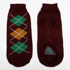 Свитер для животных, размер 18, ДС 50-65, ОШ 22-37, ОГ 38-53 см, расцветка МИКС - Фото 21