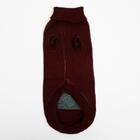 Свитер для животных, размер 18, ДС 50-65, ОШ 22-37, ОГ 38-53 см, расцветка МИКС - Фото 22