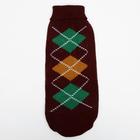 Свитер для животных, размер 18, ДС 50-65, ОШ 22-37, ОГ 38-53 см, расцветка МИКС - Фото 23