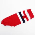 Свитер для животных, размер 18, ДС 50-65, ОШ 22-37, ОГ 38-53 см, расцветка МИКС - Фото 26