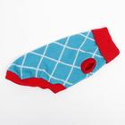 Свитер для животных, размер 18, ДС 50-65, ОШ 22-37, ОГ 38-53 см, расцветка МИКС - Фото 28