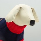 Свитер для животных, размер 18, ДС 50-65, ОШ 22-37, ОГ 38-53 см, расцветка МИКС - Фото 5