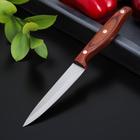 Нож кухонный Доляна «Оплот», 11,5 см, цельнометаллический - фото 9143464