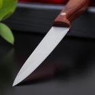 Нож кухонный Доляна «Оплот», 11,5 см, цельнометаллический - Фото 2