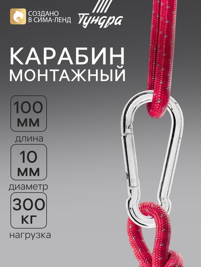 Карабин ТУНДРА krep, DIN5299С, 10×100 мм, оцинкованный, 1 шт.
