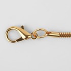 Цепочка для сумки, с карабинами, железная, 3 мм, 120 см, цвет золотой - Фото 2