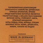 Туалетная вода мужская Emperor Golden, 100 мл (по мотивам 1 Million (P.Rabanne) - Фото 5