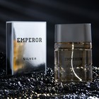 Туалетная вода мужская Emperor Siver, 100 мл (по мотивам Egoiste Platinum (Chanel) - Фото 1