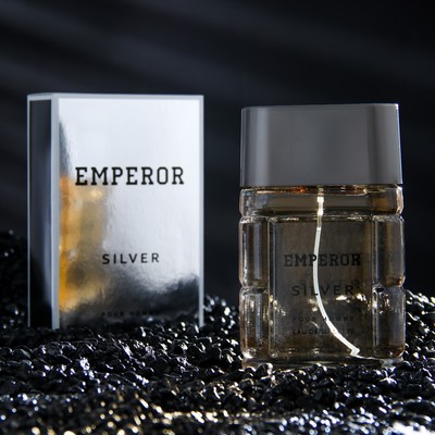 Туалетная вода мужская Emperor Siver, 100 мл (по мотивам Egoiste Platinum (Chanel)