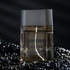 Туалетная вода мужская Emperor Siver, 100 мл (по мотивам Egoiste Platinum (Chanel) - Фото 2