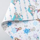 Бумага упаковочная глянцевая двусторонняя, 60 x 90 см "Анна и Эльза", Холодное сердце - фото 24616095