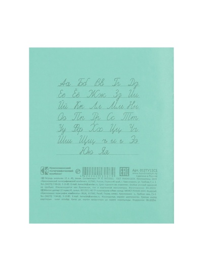 Тетрадь 12 листов в линейку «Зелёная обложка», белые листы