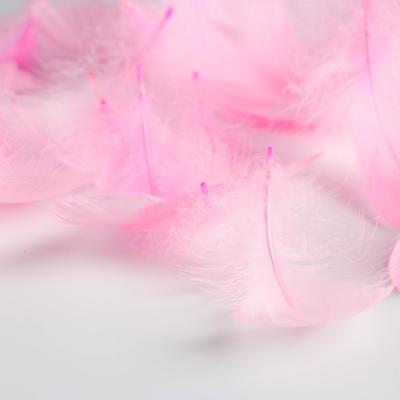 Наполнитель из перьев для шаров и подарков, упаковка, «Нежность» , 15 х 11 см