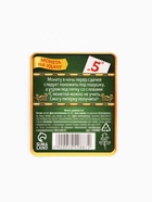 Монета сувенир «Студенческий пятак», d=2 см - Фото 7