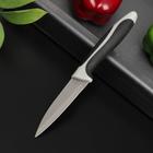 Нож для овощей кухонный Доляна «Фонтека», лезвие 9 см, цвет чёрный - Фото 1