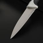 Нож для овощей кухонный Доляна «Фонтека», лезвие 9 см, цвет чёрный - Фото 2