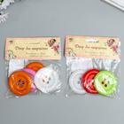 Пуговица декоративная для творчества пластик "Цветная" МИКС 5,4х5,4 см (комплект 5 шт) - фото 27131342