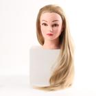 Голова учебная, искусственный волос, 55-60 см, без штатива, цвет блонд - фото 295069277